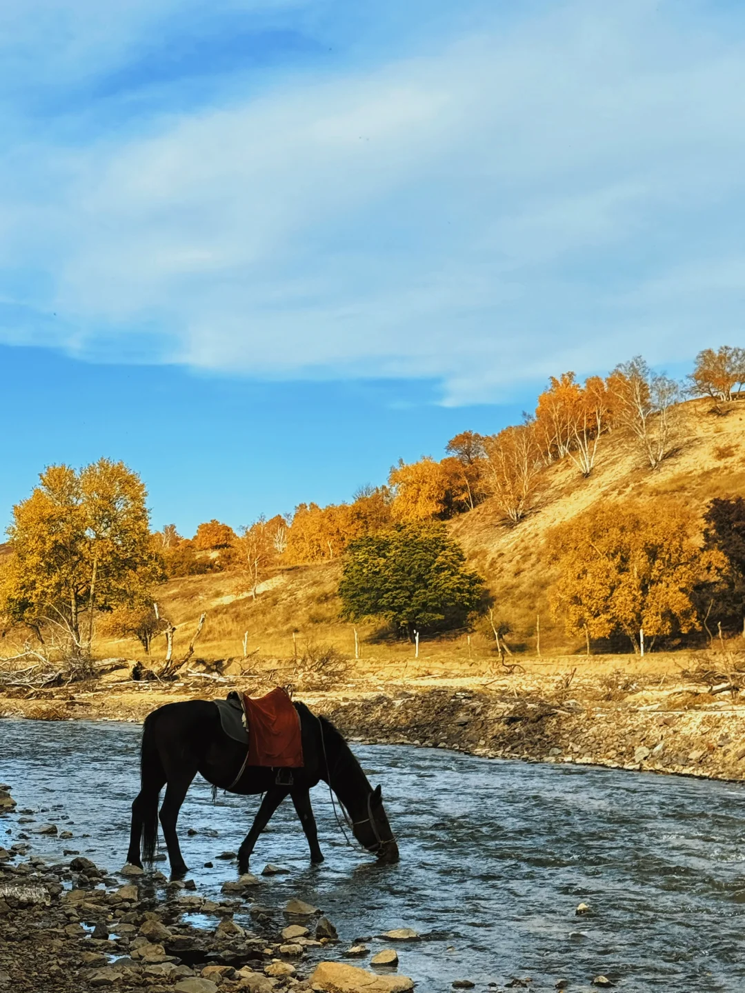 这次没有错过乌兰布统的秋