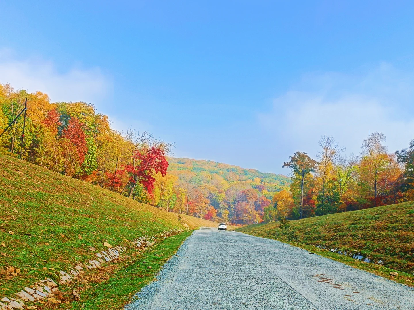 10.2花海路|哈尔滨的秋天已经是nextlevel了