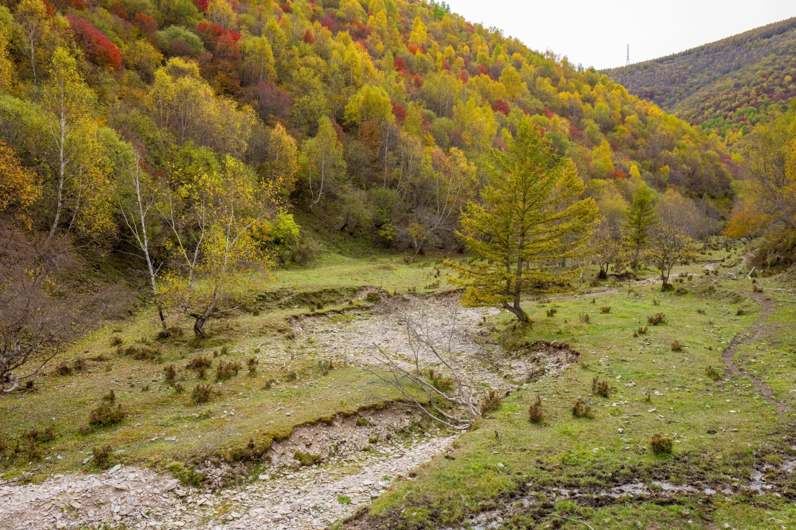 十一河北人少开车直达山顶溪流五彩林在这里