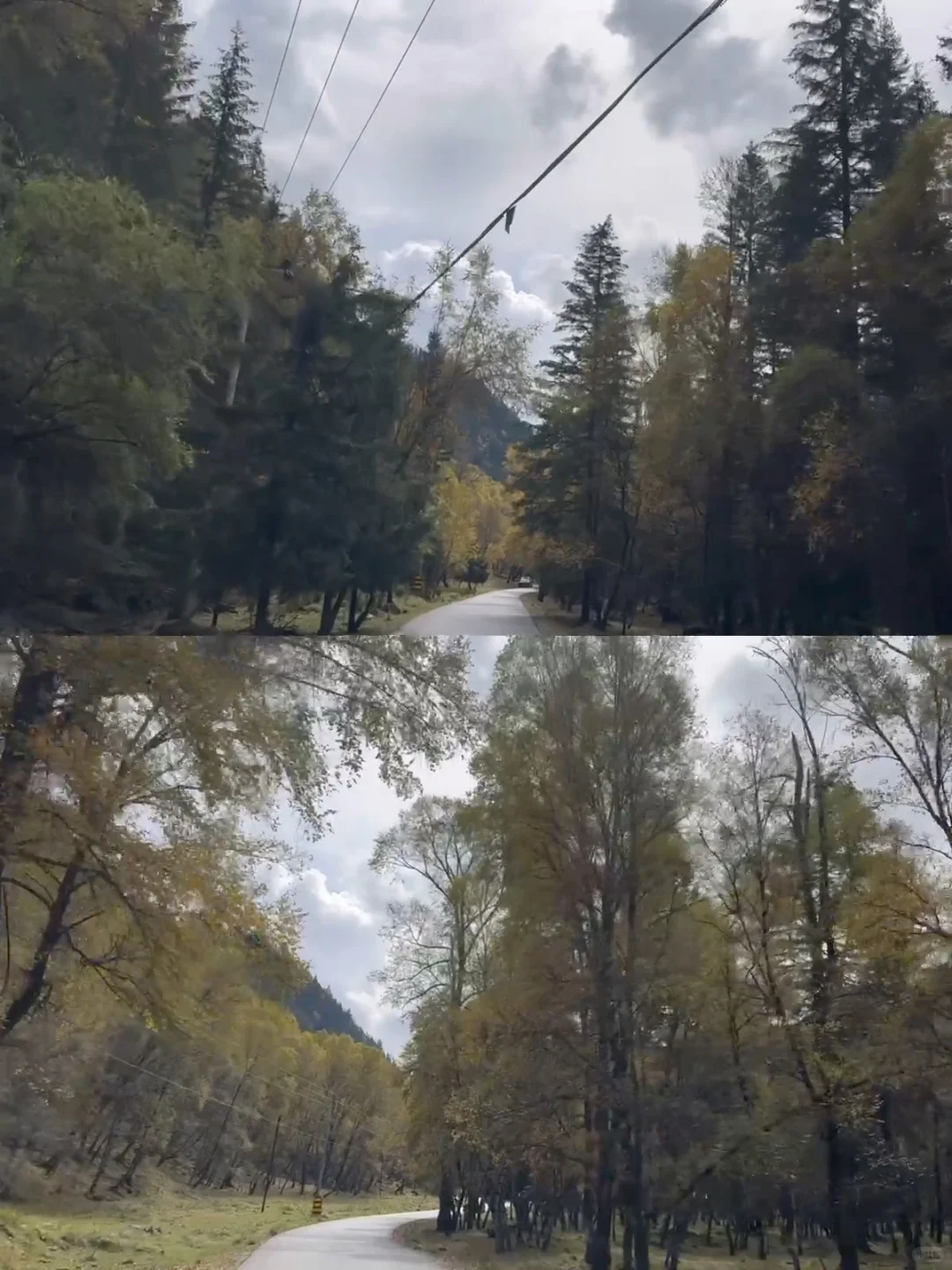 十一假期｜兰州周边｜秋天的山沟沟美到窒息🍂