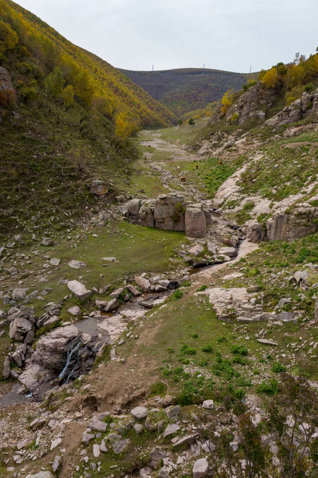 十一河北人少开车直达山顶溪流五彩林在这里