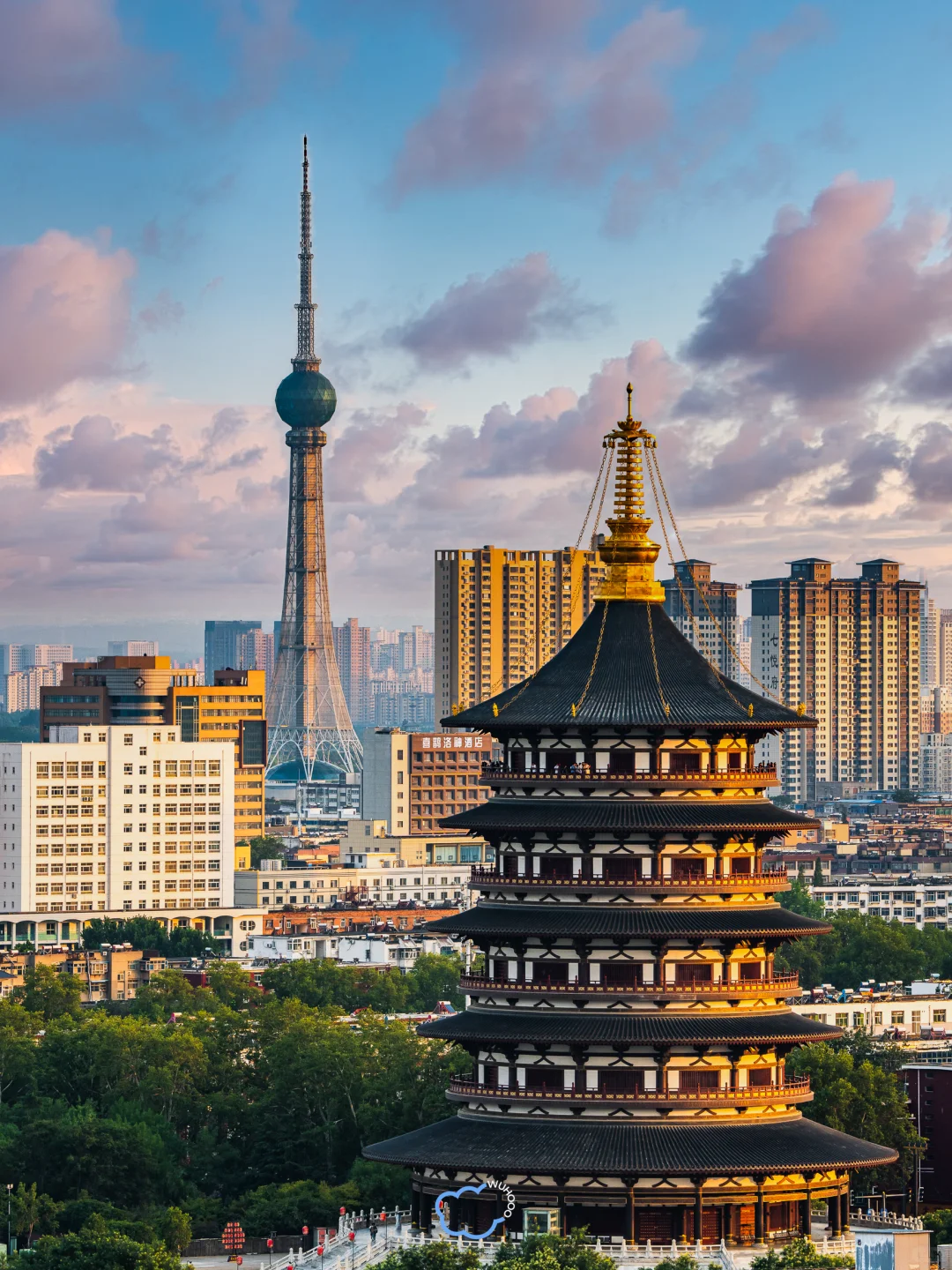 为了这18张图专门跑了趟洛阳🏮