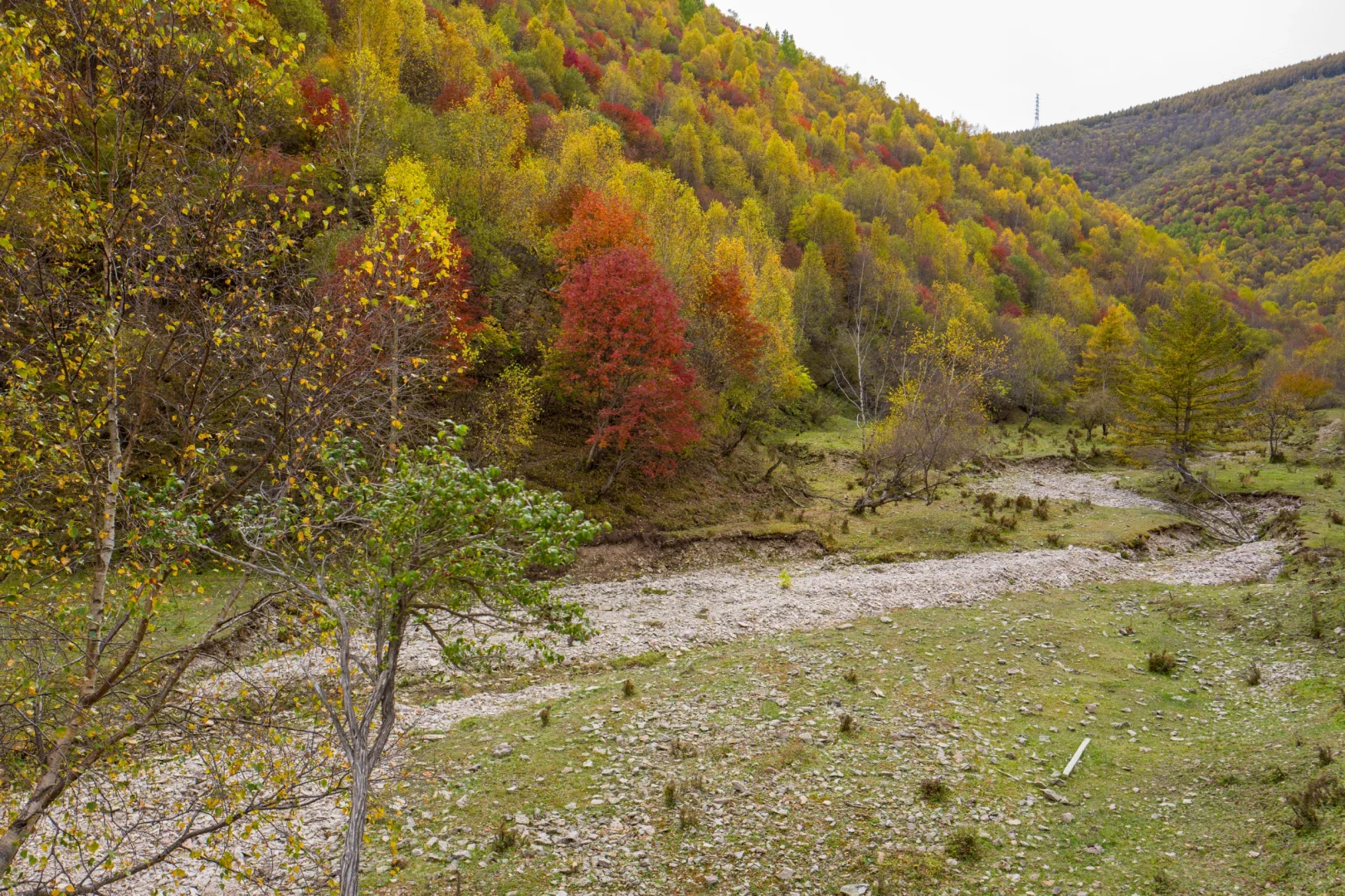 十一河北人少开车直达山顶溪流五彩林在这里