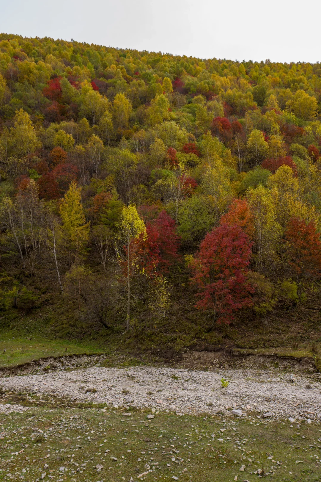 十一河北人少开车直达山顶溪流五彩林在这里