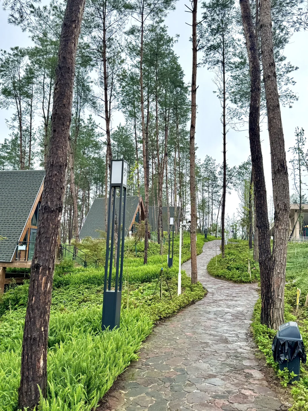 绵阳1h直达！吃喝玩乐一整天！！🏕️🍹