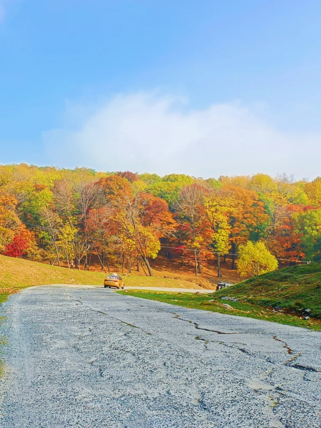 10.2花海路|哈尔滨的秋天已经是nextlevel了
