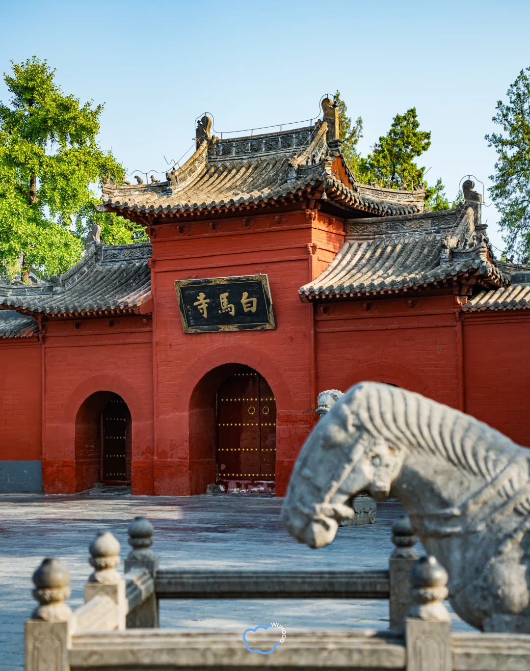 为了这18张图专门跑了趟洛阳🏮