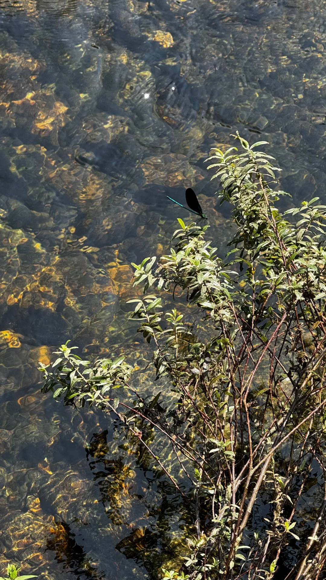 10月4号 皖南川藏线已去！太惊喜了！不堵车！