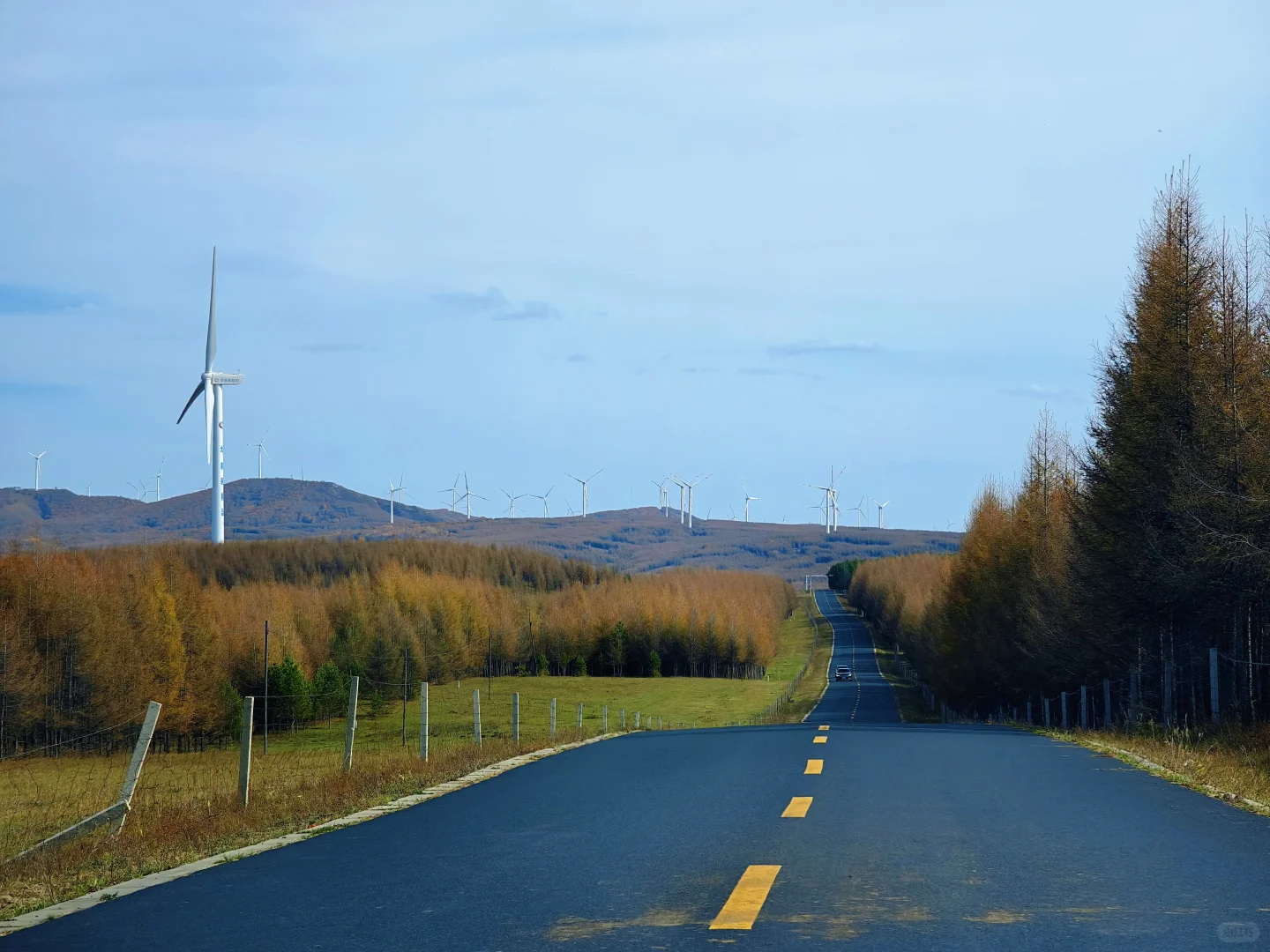 10.1实拍，御道口风景区的秋天可以封神了❗