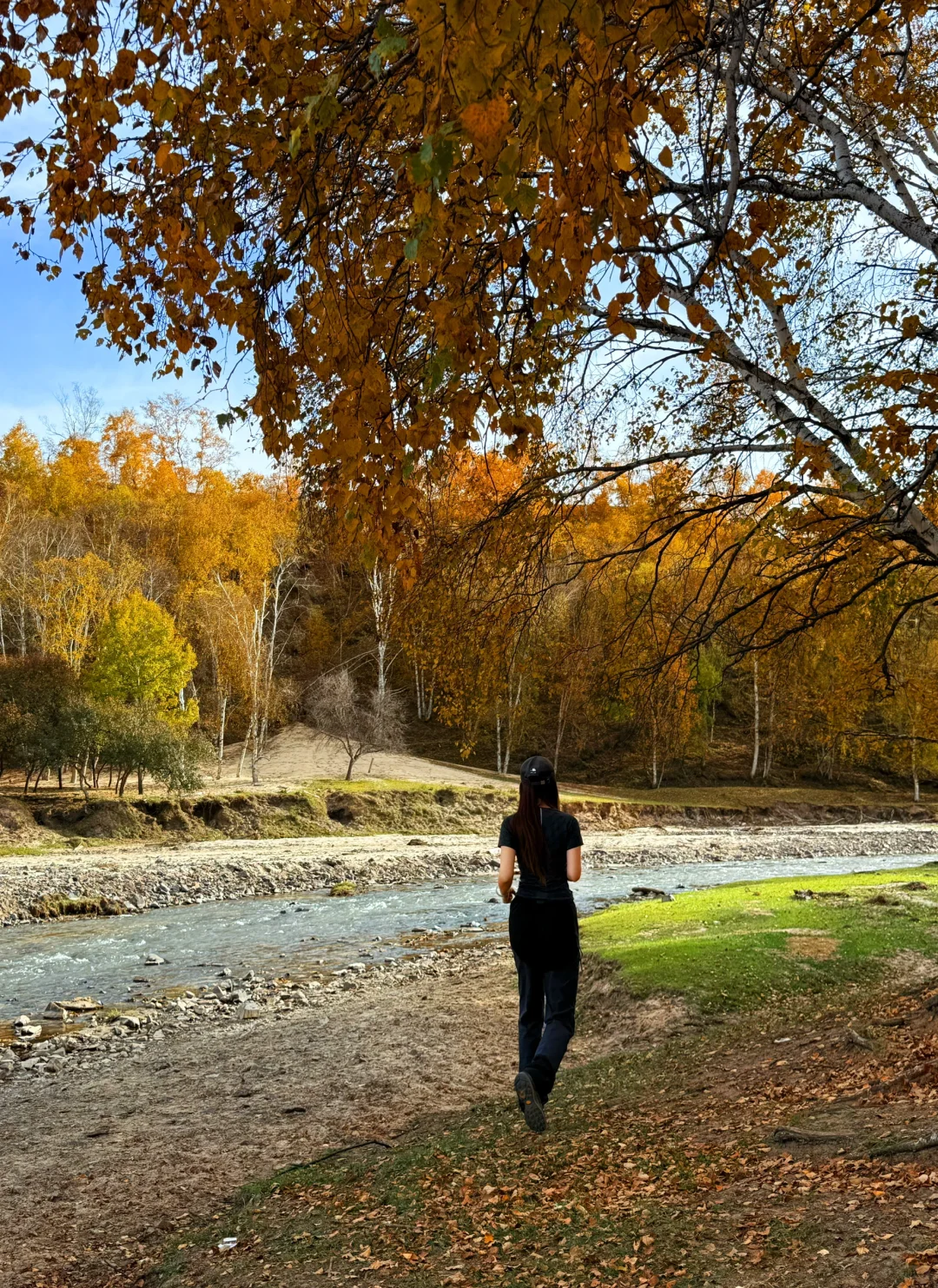 这次没有错过乌兰布统的秋