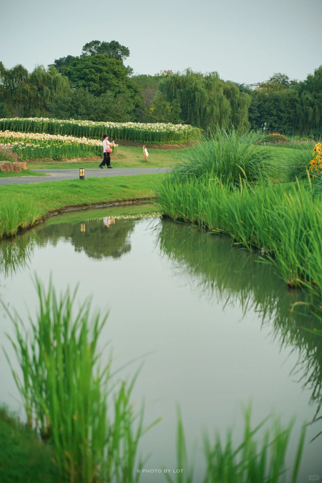 10.4📷 杭州径山花海进入最美花季