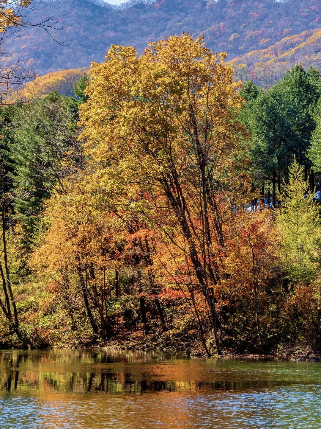 秋景封神！本溪赏枫全攻略🍁