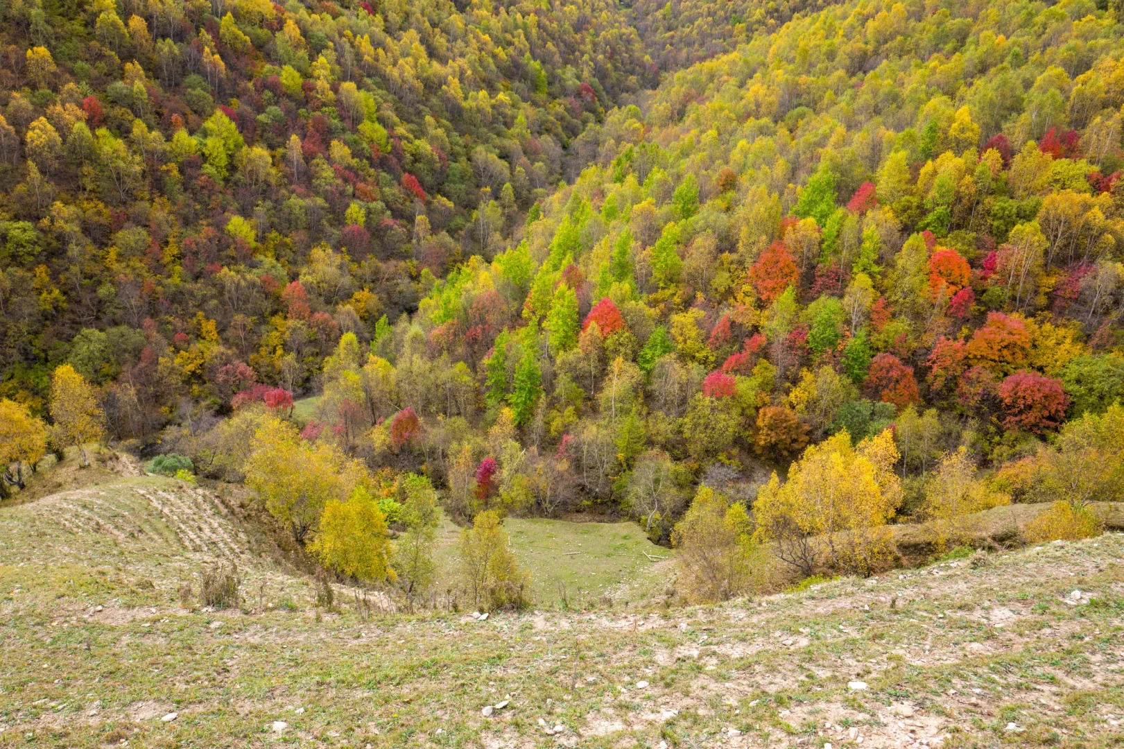 十一河北人少开车直达山顶溪流五彩林在这里