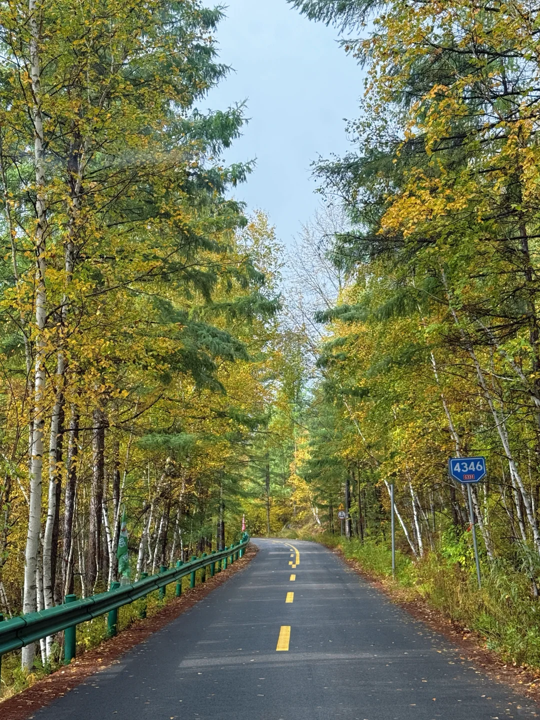 2025.9.13奇乾—室韦