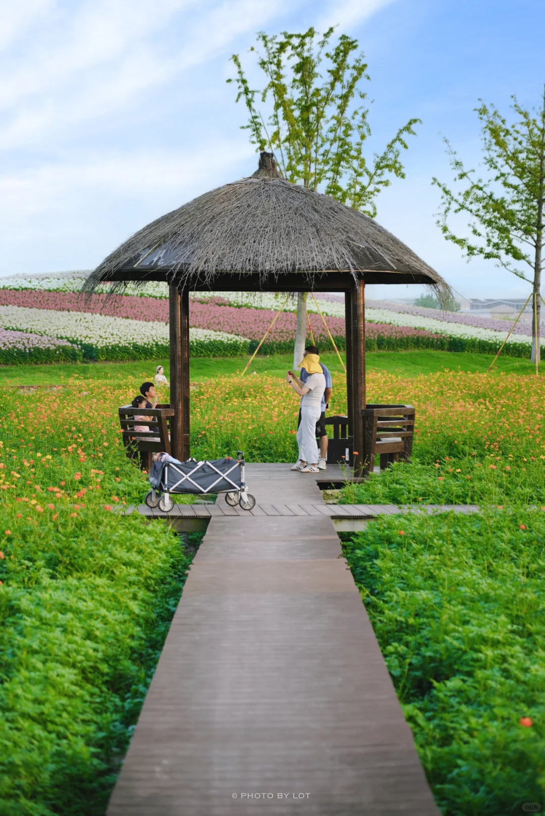 10.4📷 杭州径山花海进入最美花季