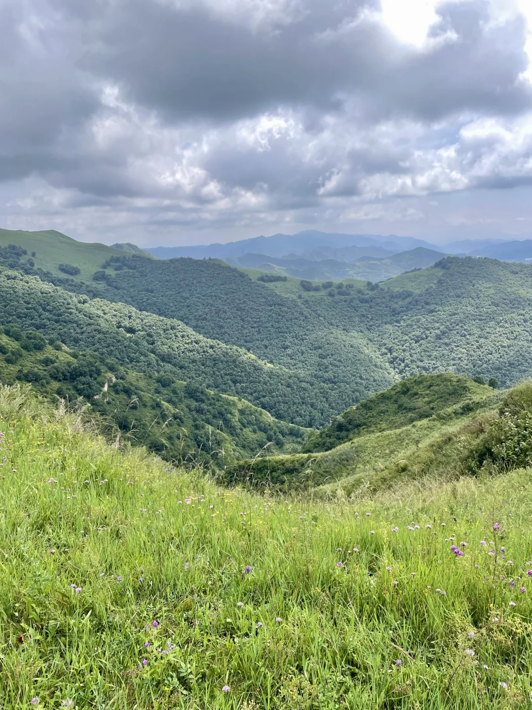 不是阿勒泰去不起，而是河北蔚县更有性价比