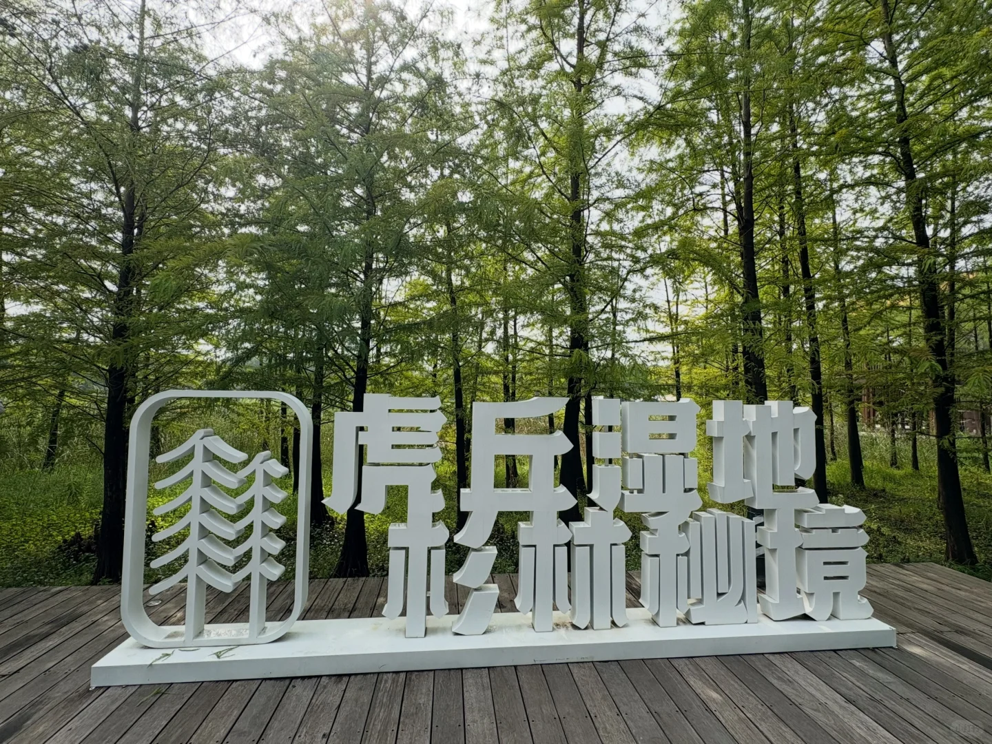 国庆第四天，虎丘湿地公园