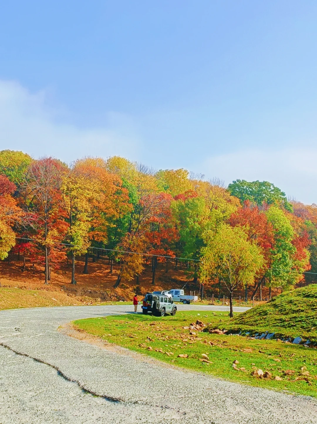 10.2花海路|哈尔滨的秋天已经是nextlevel了