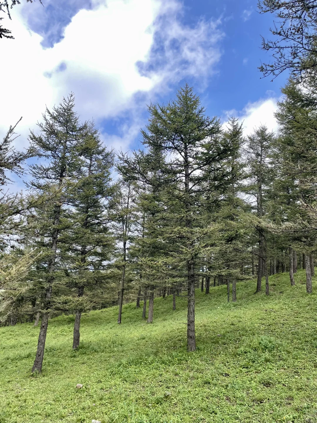 不是阿勒泰去不起，而是河北蔚县更有性价比