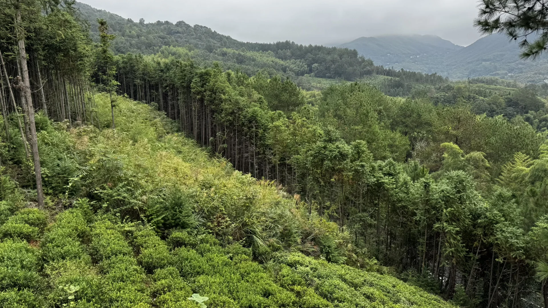 10月4号 皖南川藏线已去！太惊喜了！不堵车！