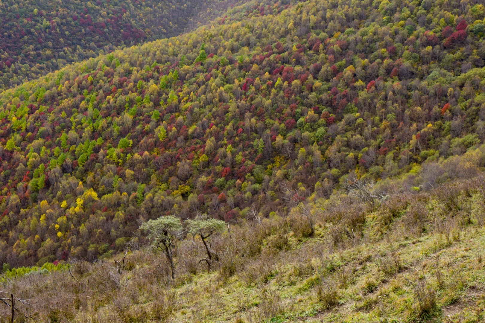 十一河北人少开车直达山顶溪流五彩林在这里