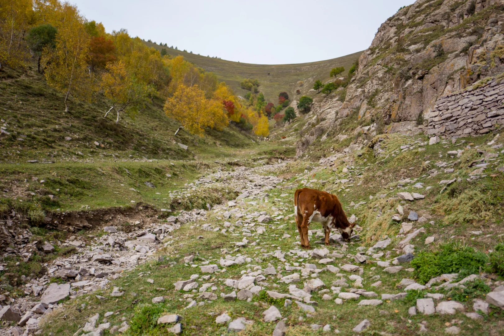 十一河北人少开车直达山顶溪流五彩林在这里