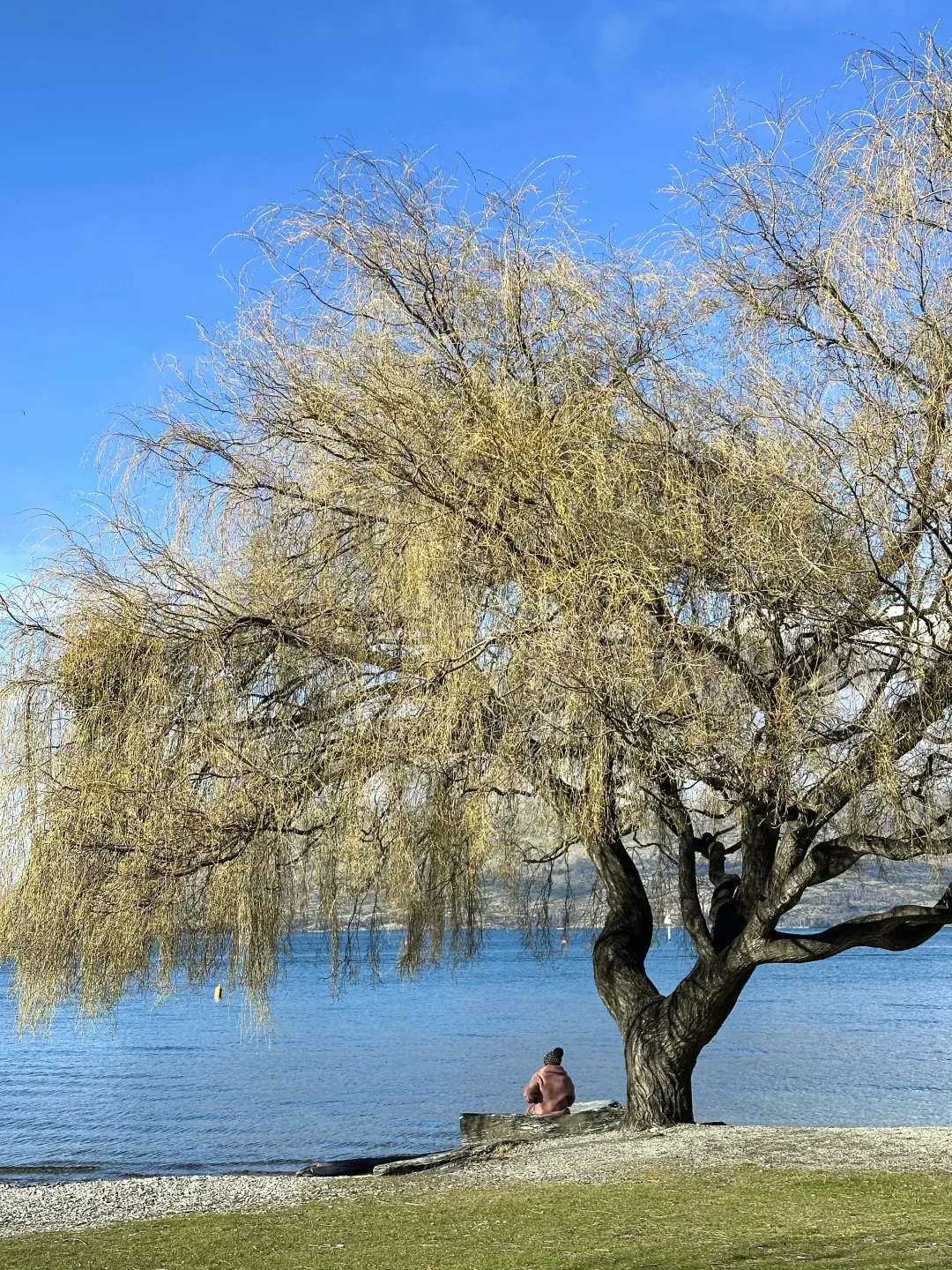 独自旅行新西兰🇳🇿南岛9天8晚花费1.1w