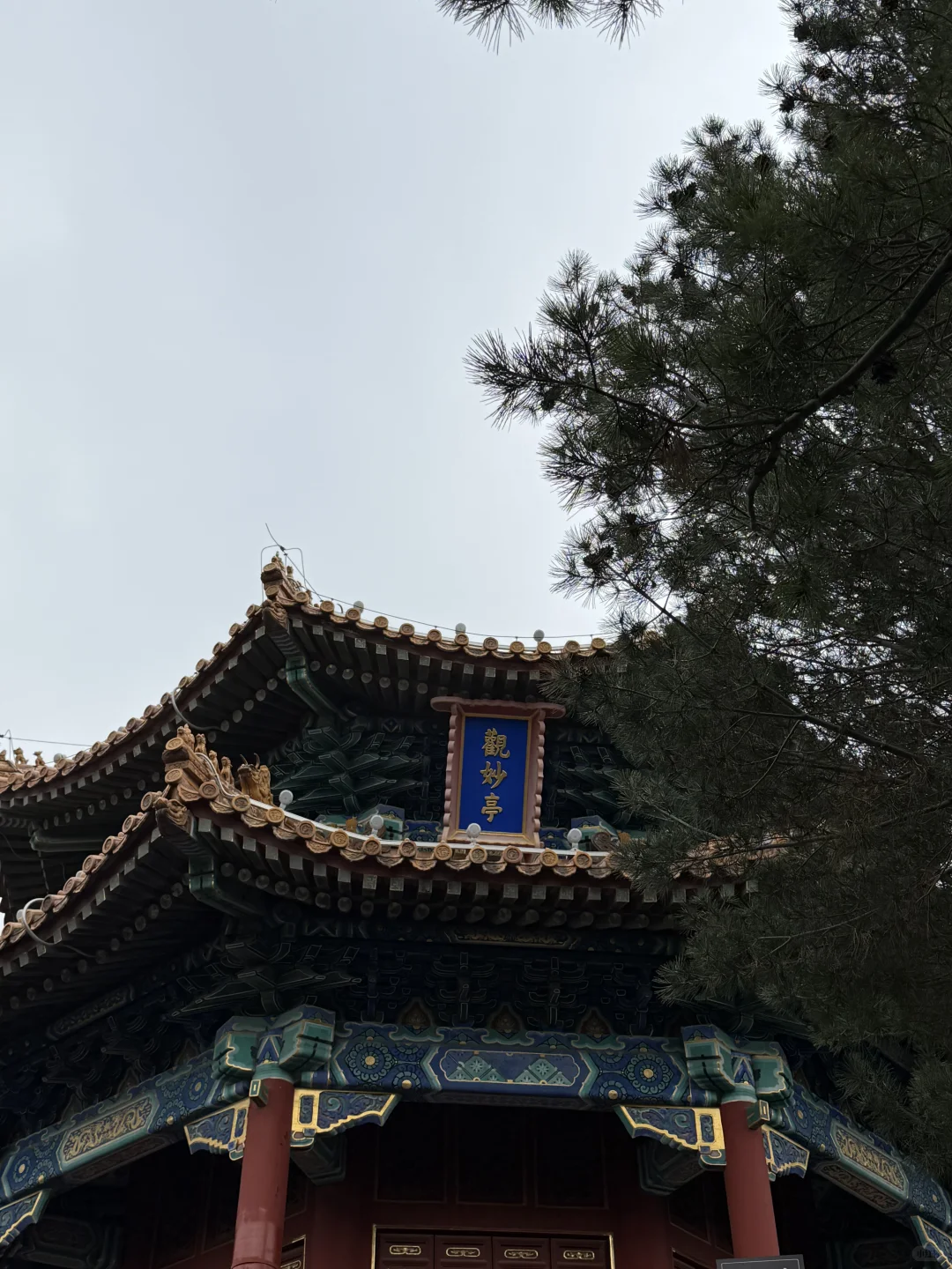 花过最值的2元钱｜故宫旁「景山公园」怎么玩