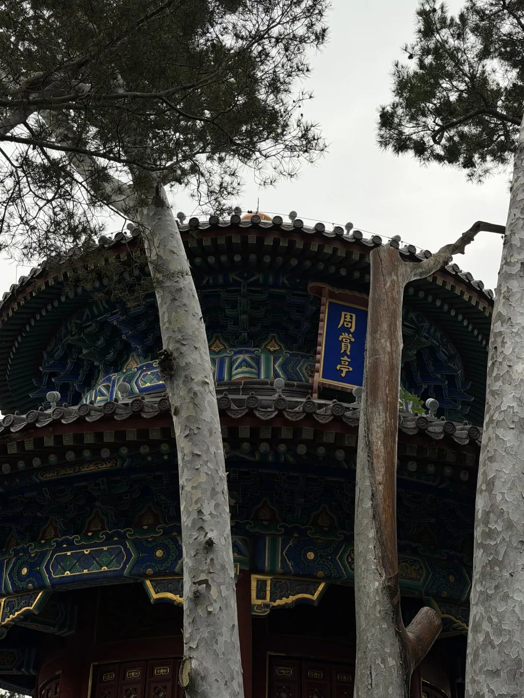 花过最值的2元钱｜故宫旁「景山公园」怎么玩