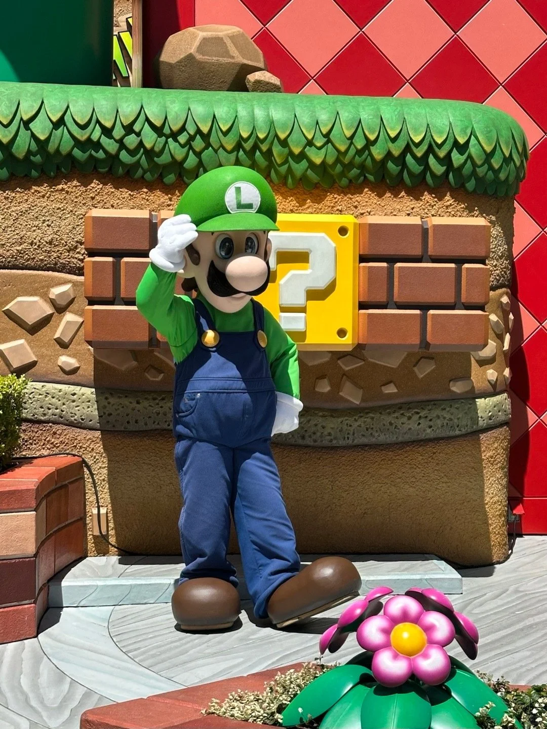 😠日本跟团已回，别再听网上乱说了。。