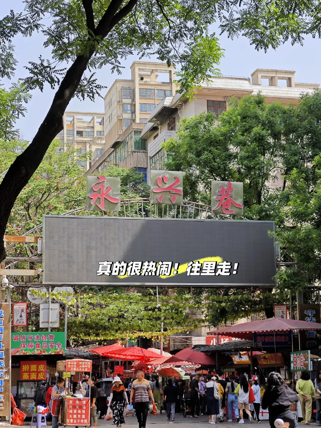 📍宝·鸡你太美❤️——宝鸡一日游攻略
