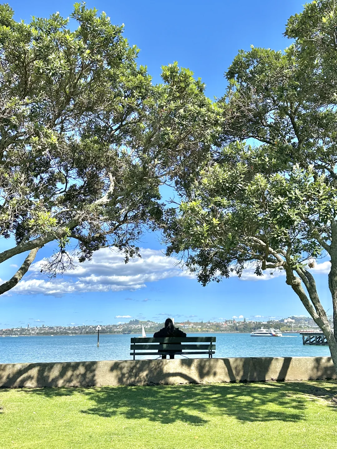 独自旅行新西兰🇳🇿南岛9天8晚花费1.1w