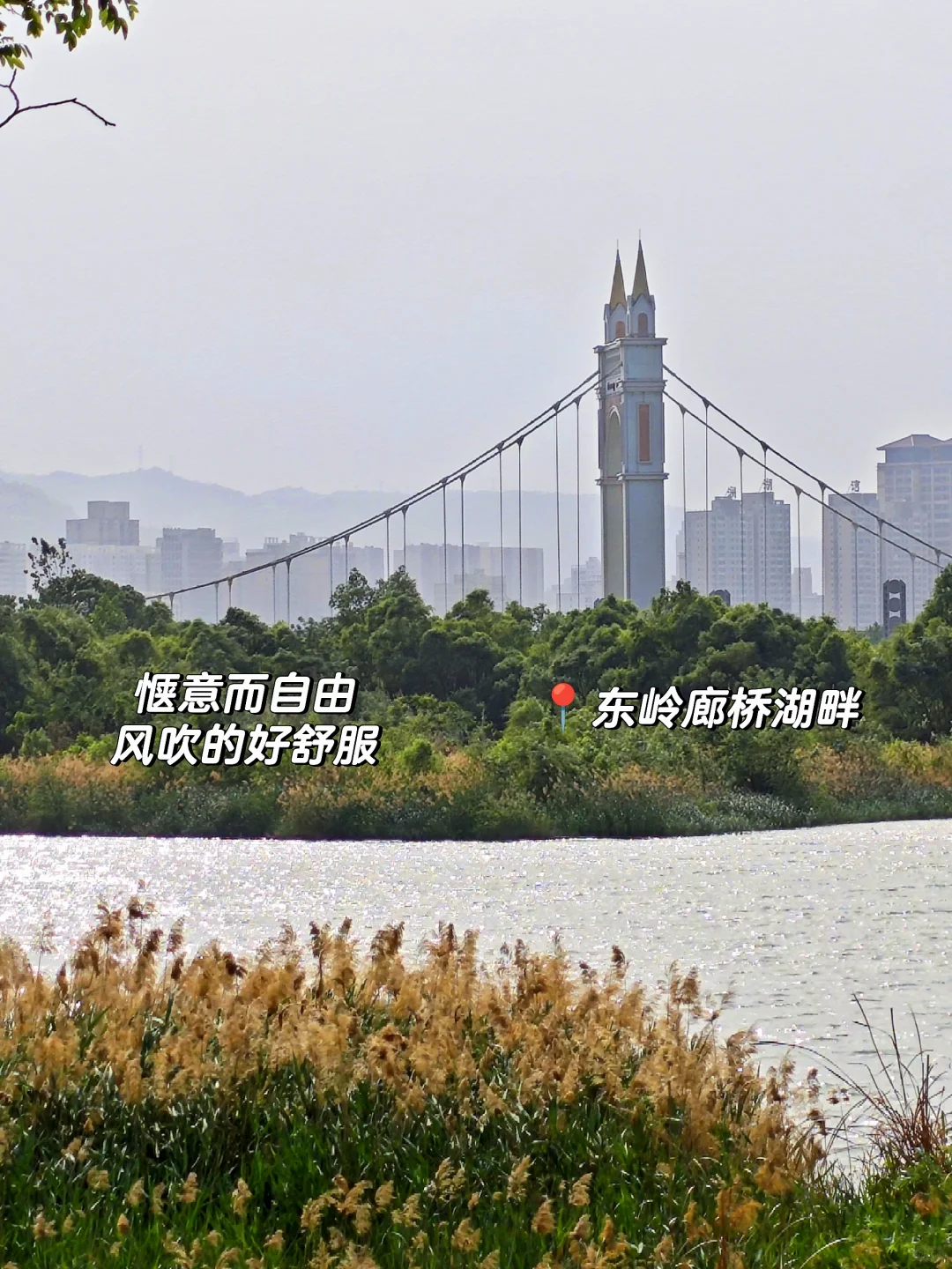 📍宝·鸡你太美❤️——宝鸡一日游攻略