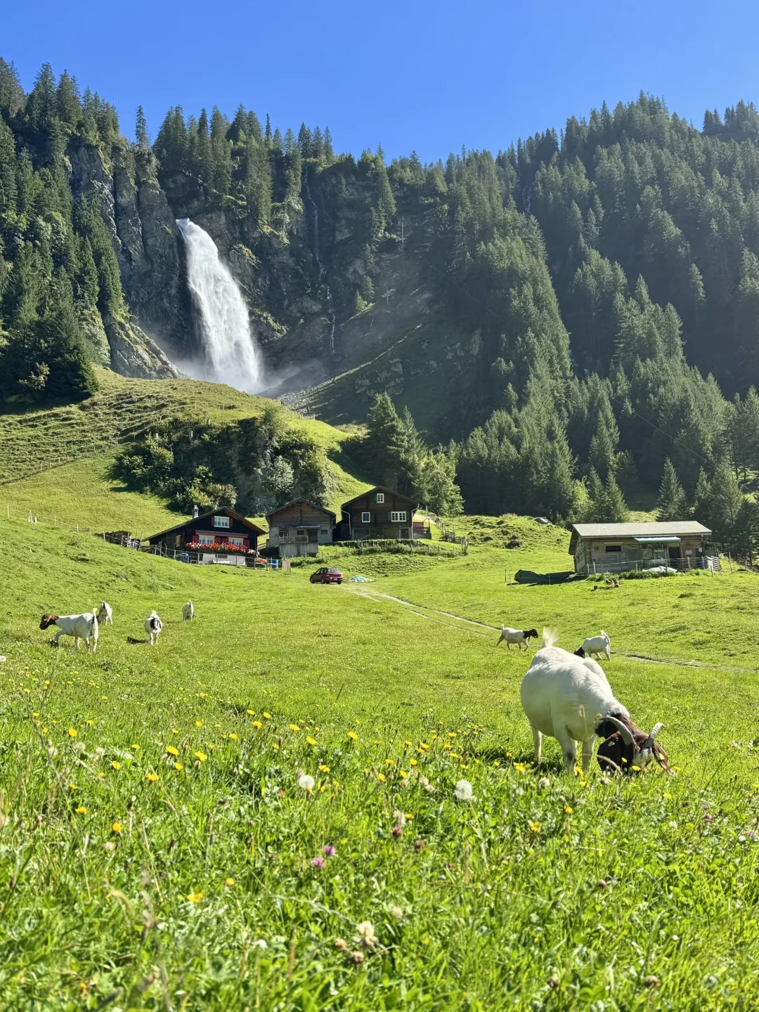 “国庆第一批地球街溜子已抵达瑞士!!”