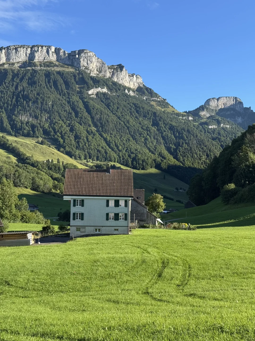 “国庆第一批地球街溜子已抵达瑞士!!”