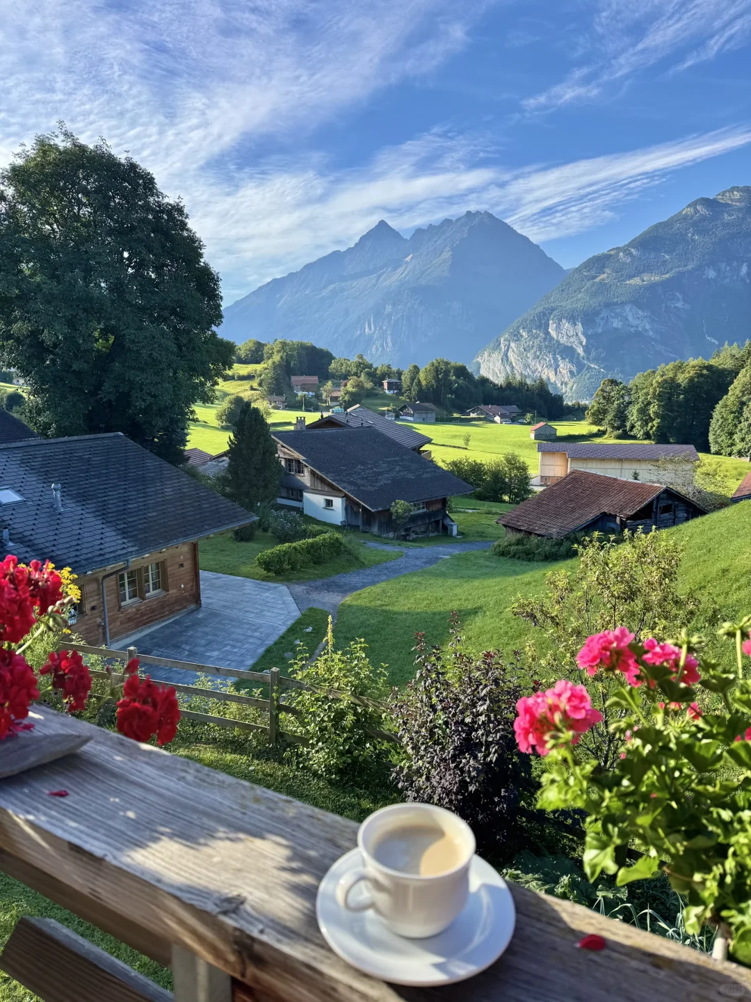 “国庆第一批地球街溜子已抵达瑞士!!”