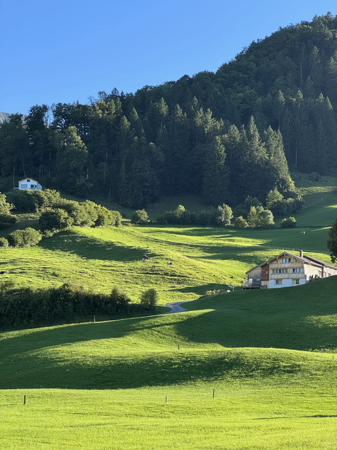 “国庆第一批地球街溜子已抵达瑞士!!”