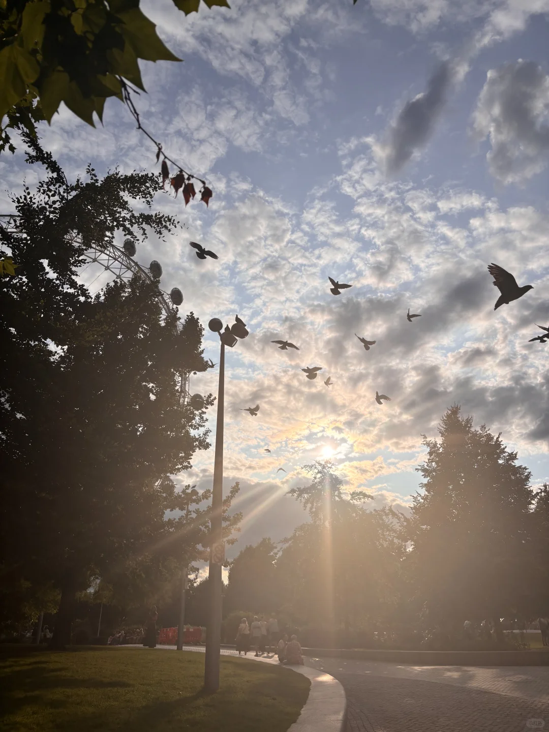 想念英伦的每一帧🇬🇧