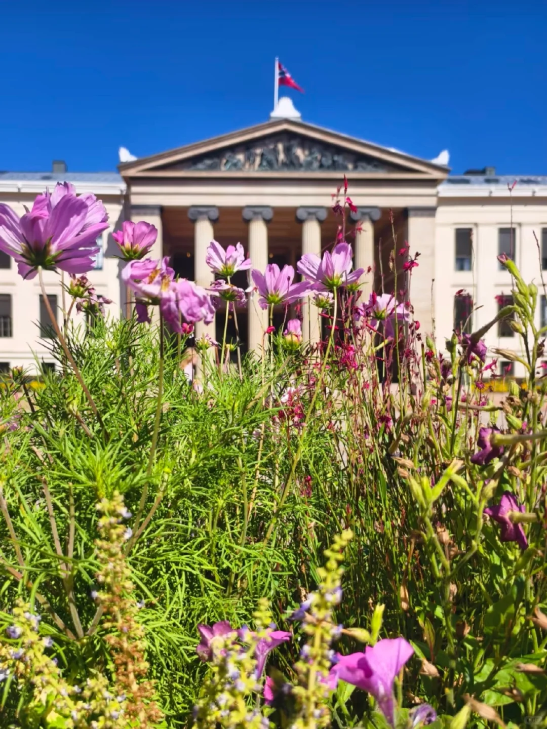 挪威🇳🇴8天已回，太崩溃了😫