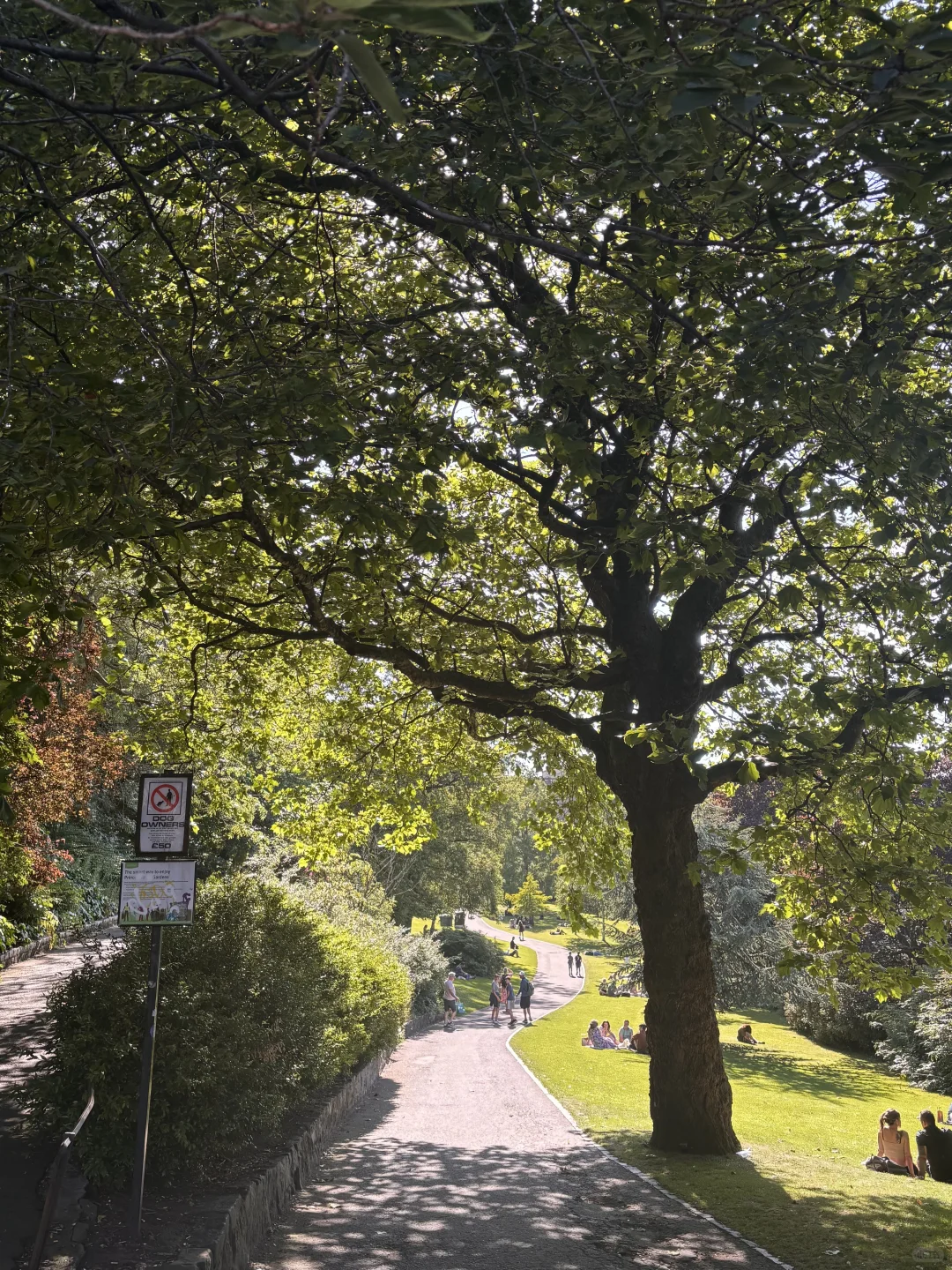 想念英伦的每一帧🇬🇧