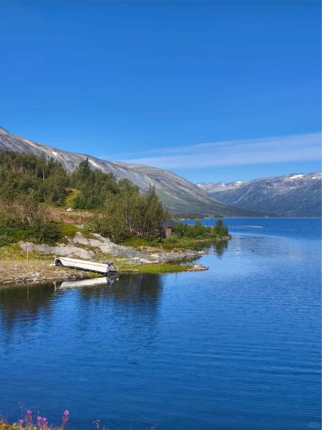 挪威🇳🇴8天已回，太崩溃了😫