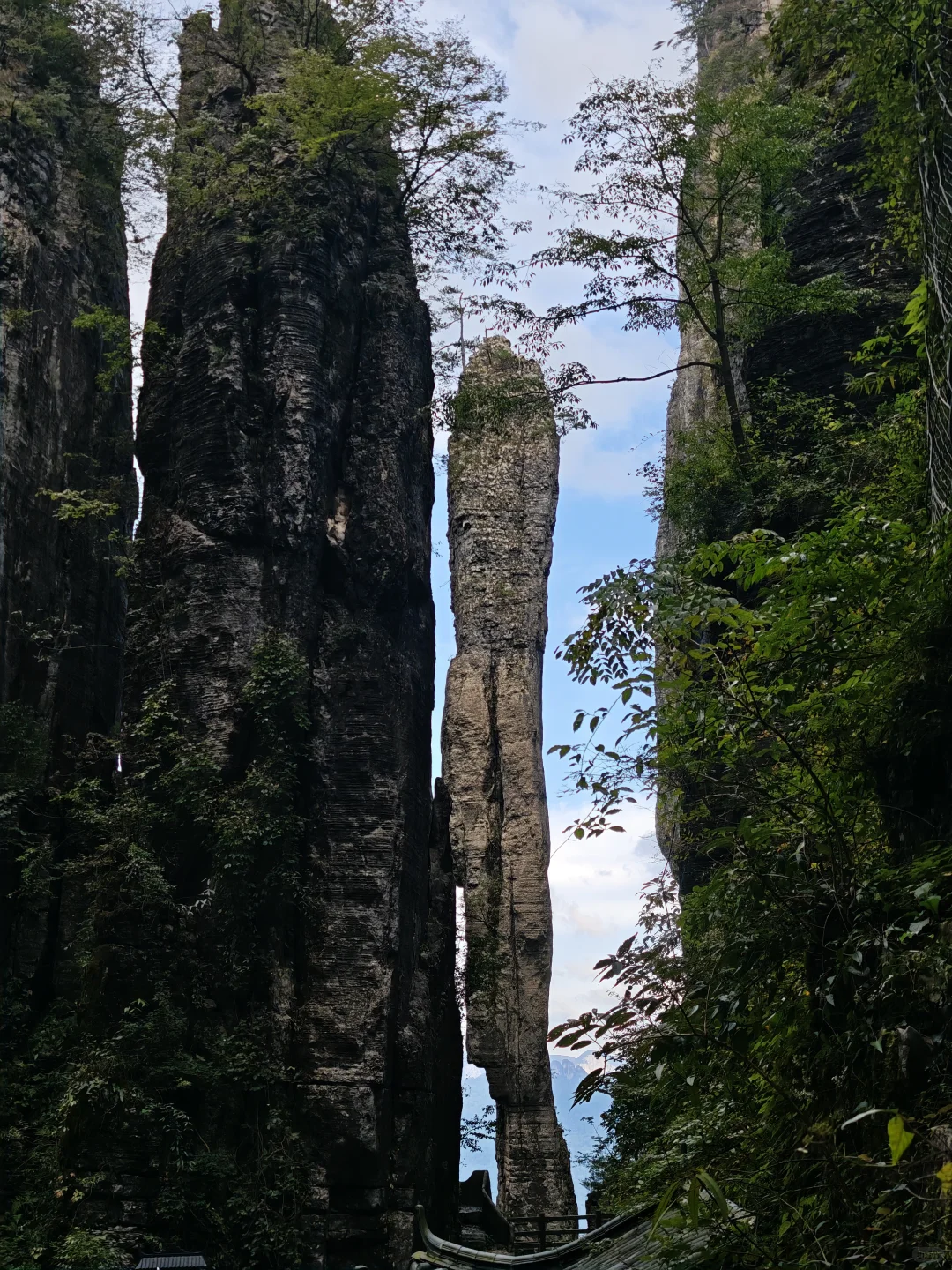 一次次对国内旅游失望