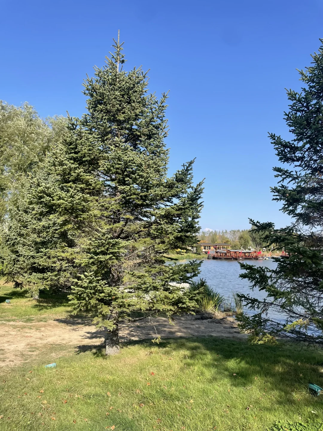 在国外拍的大片