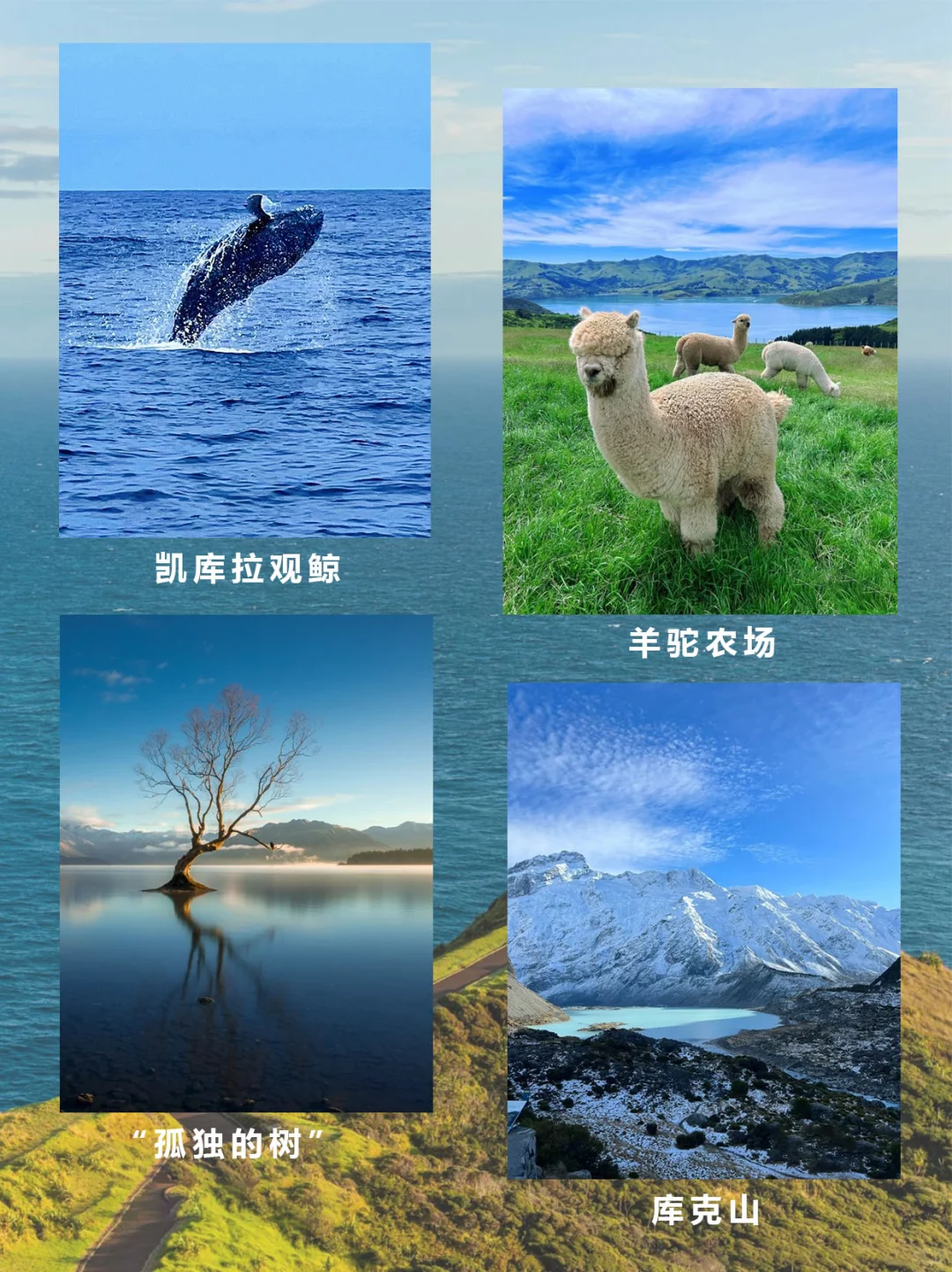 🇳🇿新西兰南岛环线|8天7晚精致小团游