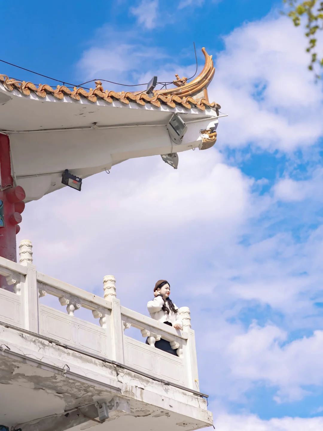 黑龙江你不宣传佳木斯糊涂呀!好看又好吃咧