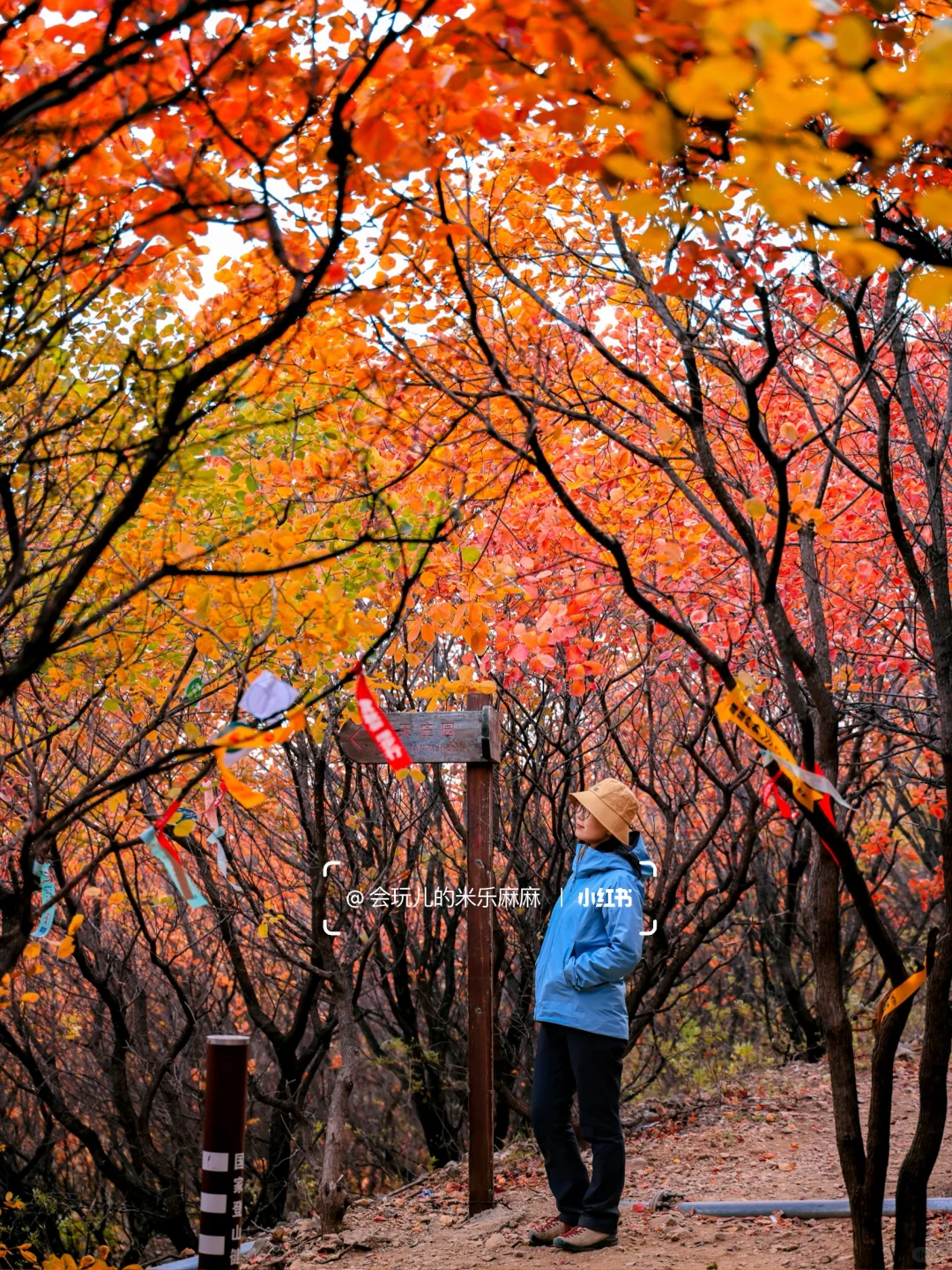 接下来北京不能错过的！亲子登山赏秋合集🍁