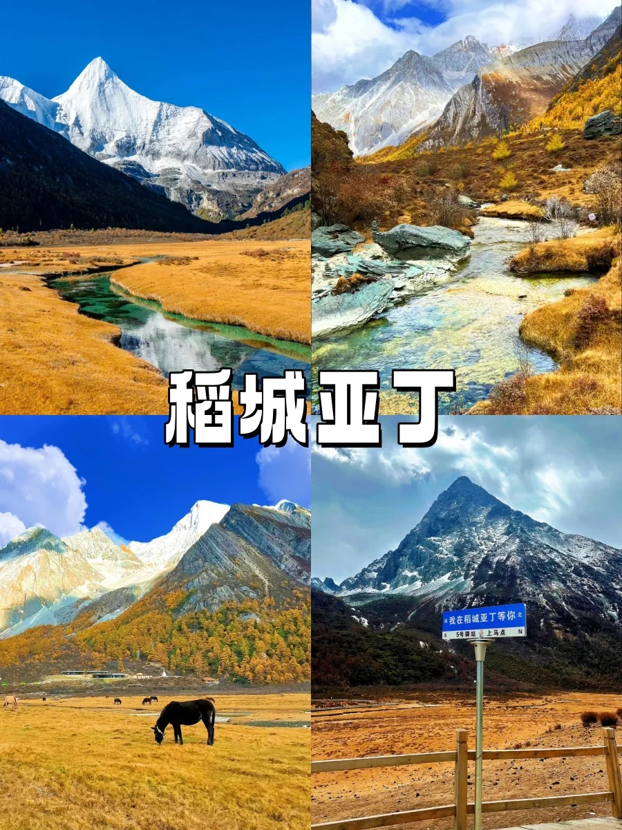 10-11月错峰旅游，八大赏秋圣地❗美到封神