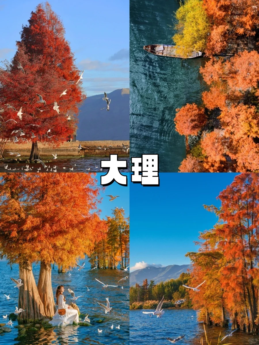 10-11月错峰旅游，八大赏秋圣地❗美到封神