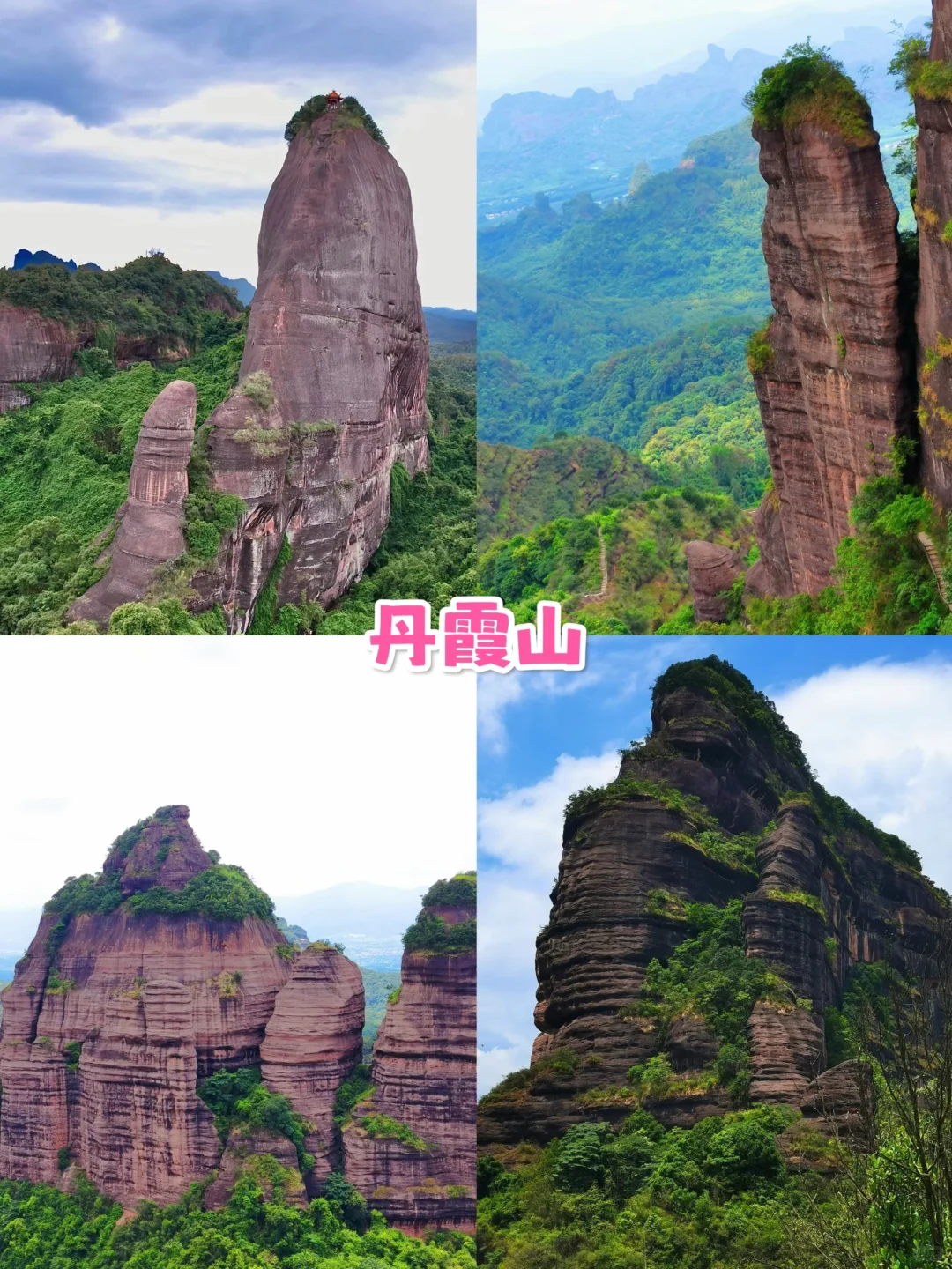 韶关旅游👉帽子峰银杏✨3天人均800💰