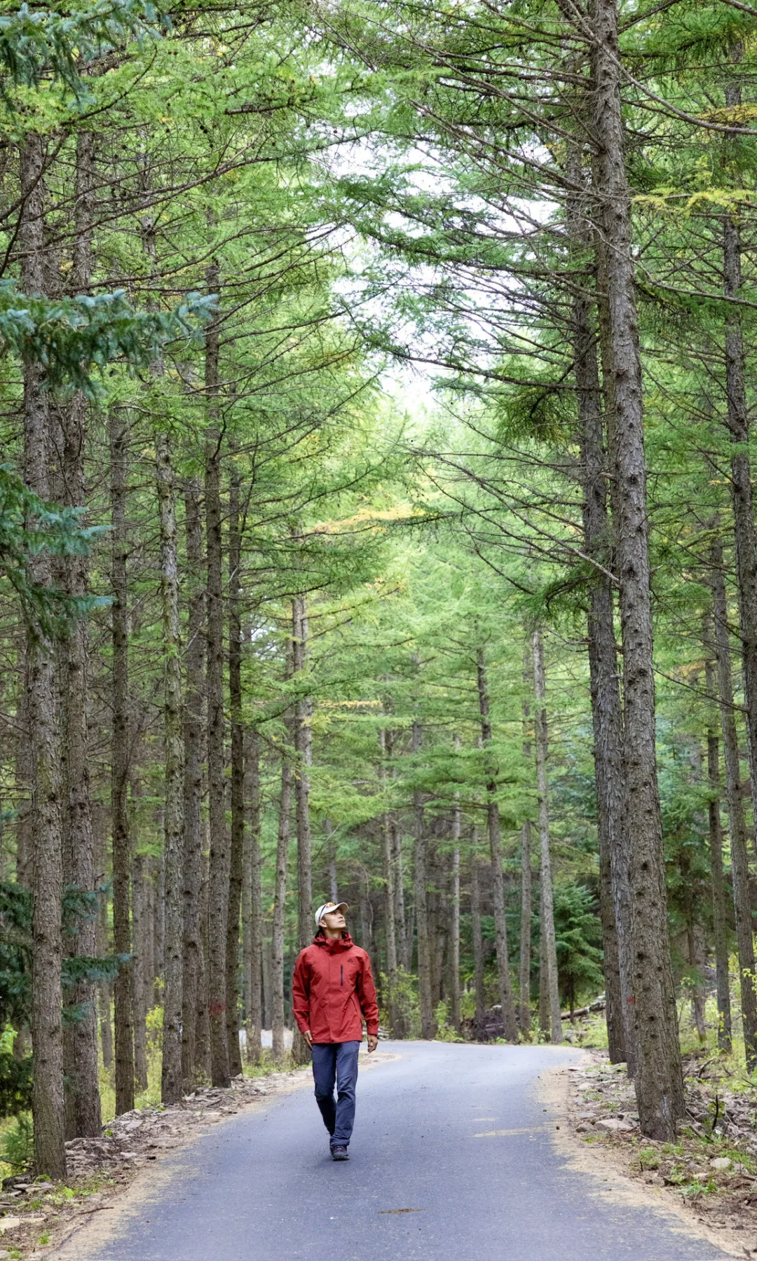 🚗 北京出发3h，我闯进了秋天的油画世界！